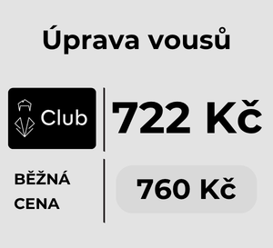 ÚPRAVA VOUSŮ - PRAHA